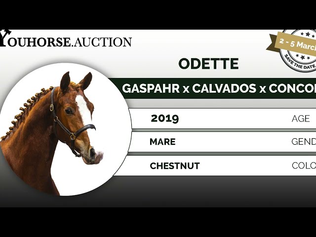 Odette homevideo