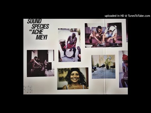 Soundspecies and Ache Meyi - Alina's Calypso