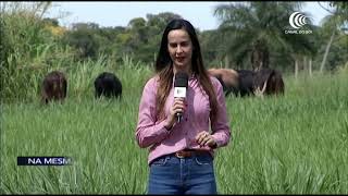 Miniatura do vídeo