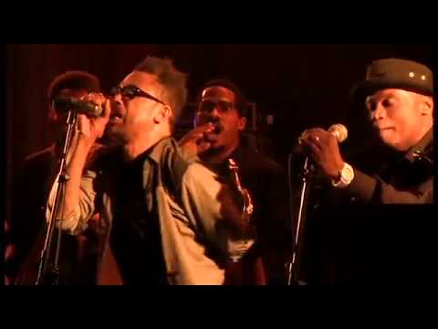 The Avant Age Garde I Ams of the Gal Luxury