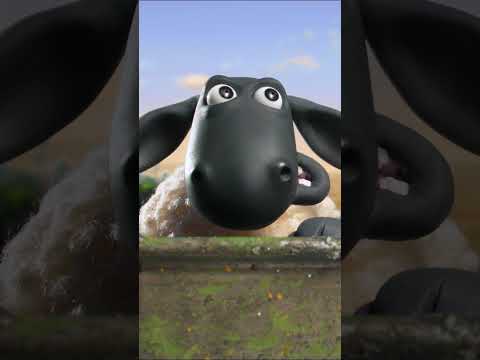 Shaun gets a delivery!🐑🐑🐑#shaunthesheep #shorts #packaging