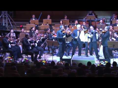 Filarmonica Romilor din Romania - Darius Cocos Purpuriu Românesc