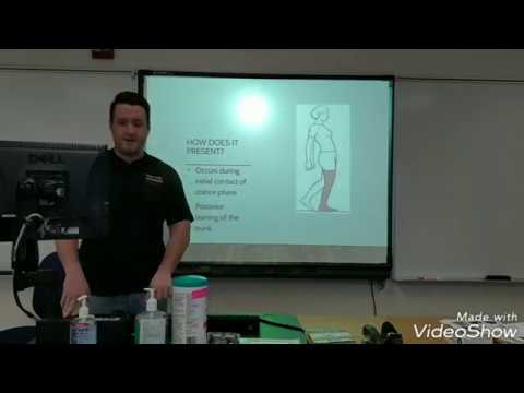 Gluteus maximus gait