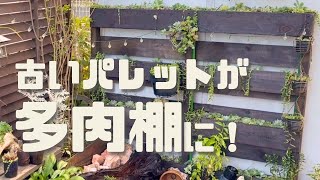 【多肉DIY】古いウッドパレットを多肉棚に🌿初心者でも作れる簡単リメイク