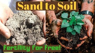 Sand to Soil in 1 Year | Improving Soil Fertility for Free!