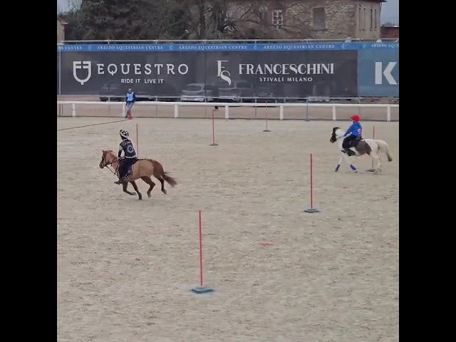Tanja in vendita 