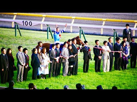 2017.11.26ジャパンカップJC(G1)②口取り式(大魔神佐々木＆榎本加奈子＆シュヴァルグラン＆ボウマン)＠東京競馬場