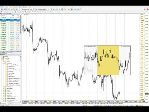 Video Magnifier Ruler Crosshair for MT5