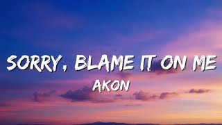 Akon - Sorry, Blame It on Me (Lyrics)