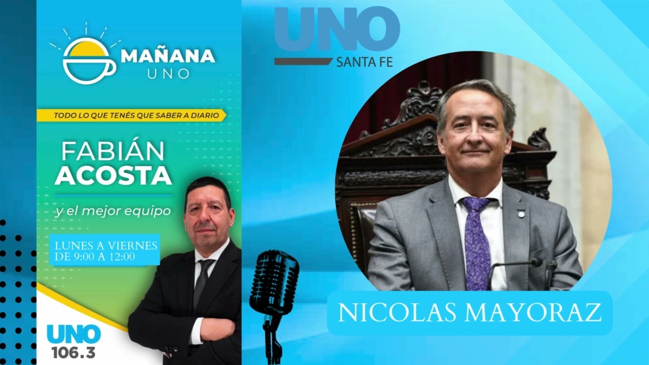 Nicolás Mayoraz pidió la suspensión de la Convención Reformadora