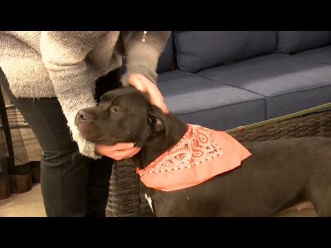 Fleet Farm Donation Request