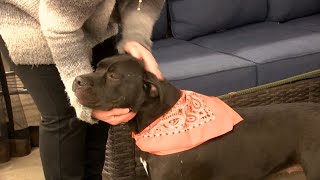 Fleet Farm Donates to Humane Society of Marathon County