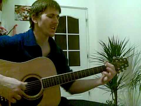 Pavel Dobeš - Na Pranýři (cover)