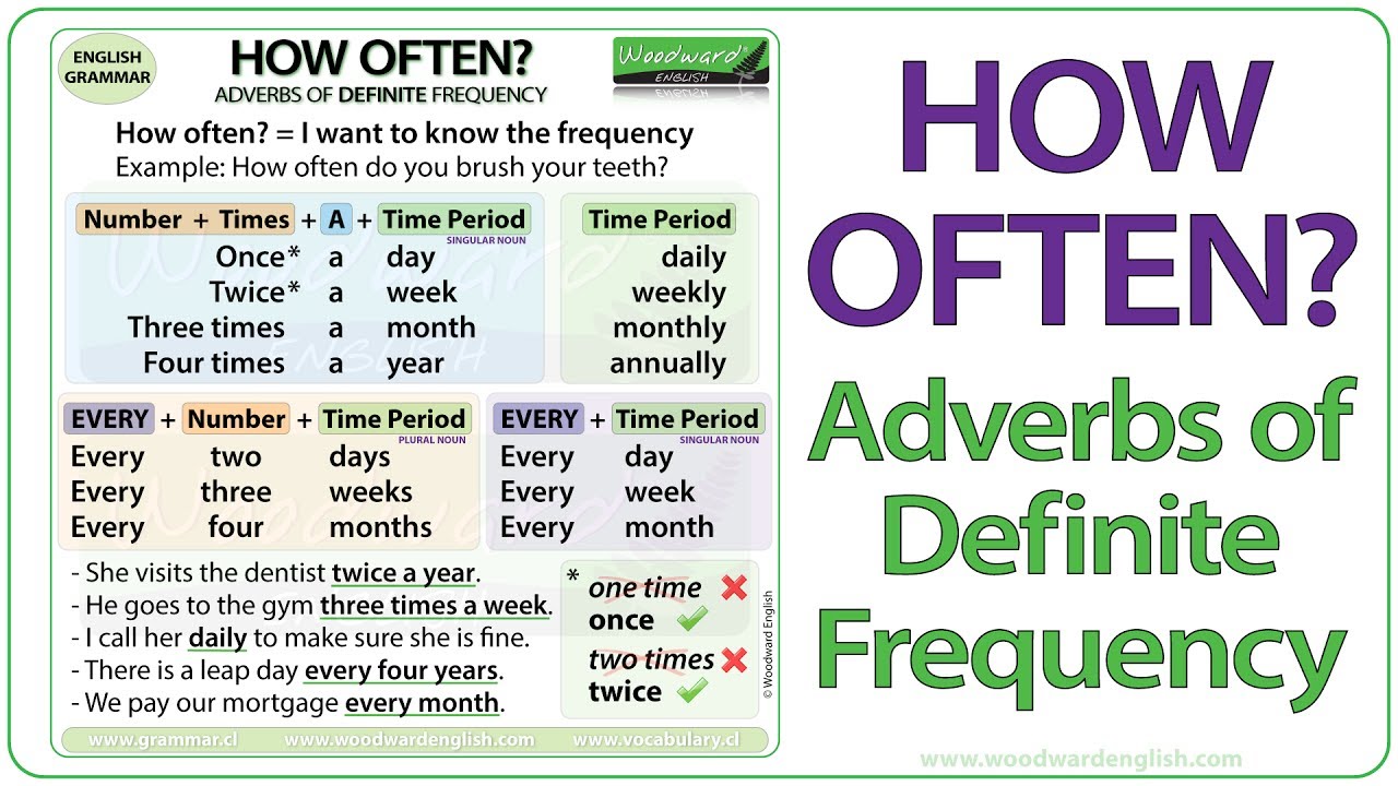 How Often? - Adverbs of Definite Frequency | Learn English Adverbs of Frequency | ESOL Grammar