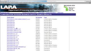 Michigan Secretary of State Business Search