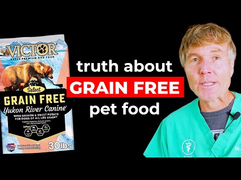 NEW STUDY ⚠️ Grain Free Dog Food & DCM Warning