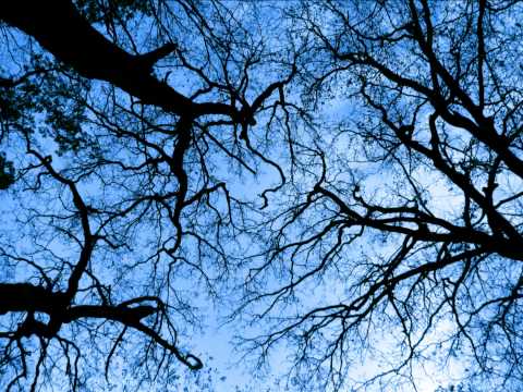 Mazdrunka - Sweet Brown Eyes