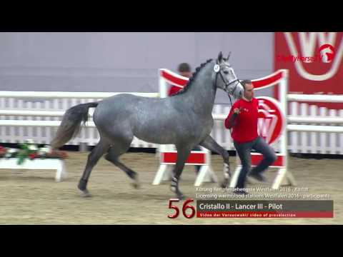 56  Cristallo II - Lancer III - Pilot