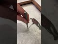 Unique Art Style With Broken Glass