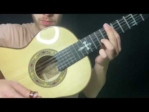 A vaca já foi pro brejo - Tião Carreiro e Pardinho ( Vídeo Aula) Matheus Musiau