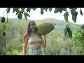 Harvesting 1000 Kg Of Fruit Our Off Grid Food Systems