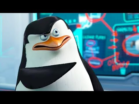 Madagascar - Penguins