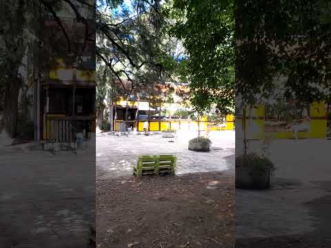 Ver9349,Bosque Carlos Gesell, Comedor, Villa Gesell 2026,Pcia.Buenos Aires,Argentina