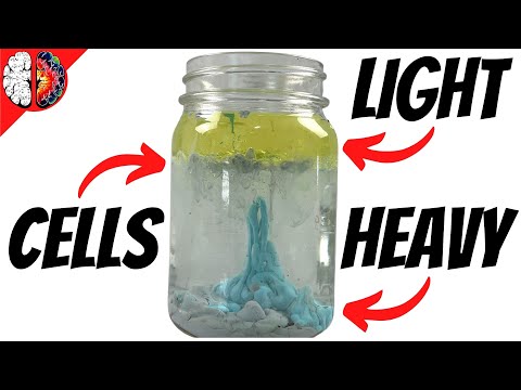 The key to CELLS - Acryic paint density made easy!