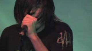 Cute Is What We Aim For - &quot;The Curse Of Curves&quot;