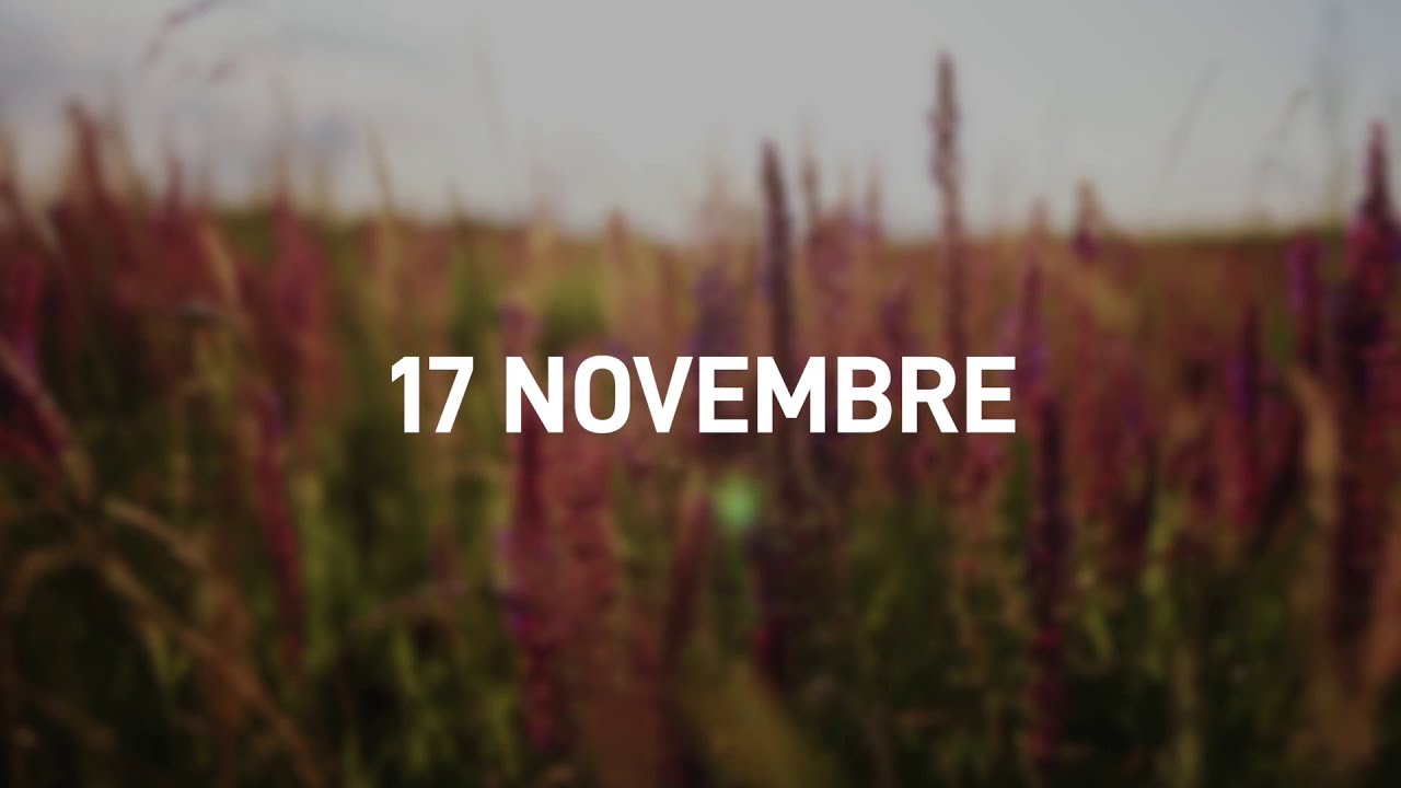 17 Novembre 2025 | Meditazione Parole di Vita