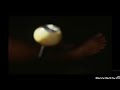 Asian Flooring Barefoot 33 Slow Motion Goodbye For Now