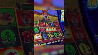 The BONUS We Wanted Happened! #gambling #casino #slots