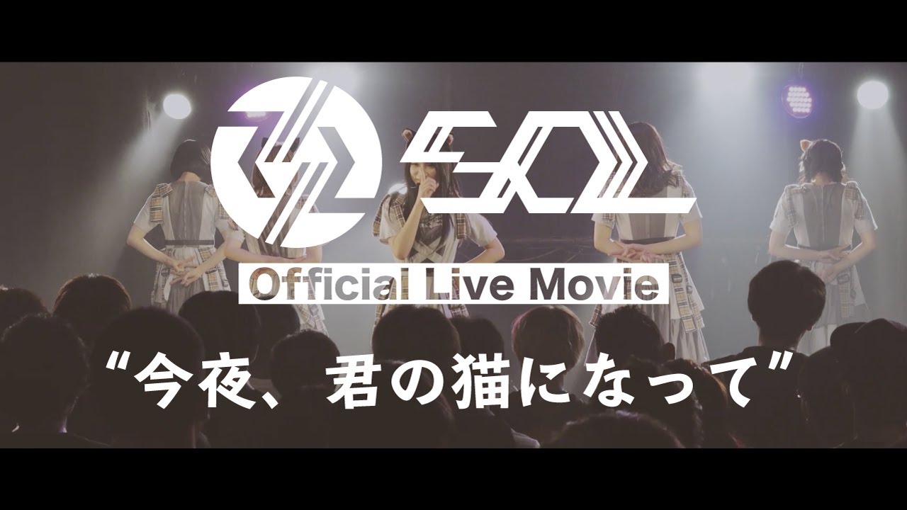 SOL「今夜、君の猫になって」