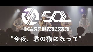 SOL「今夜、君の猫になって」 のサムネイル