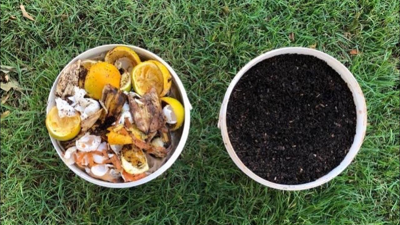 Como ganhar dinheiro com a coleta e compostagem de resíduos orgânicos?