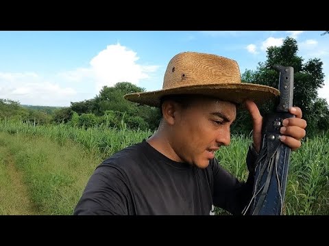 Tuve Una Pesadilla Extraña En La Noche - Que Signicará - El Cazador De Misterios