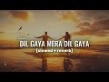 Dil Gaya Mera Dil Gaya Slowed Reverb Sonu Nigam Lo Fi Verse