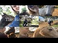 The Road To The Rodeo A Doccumentary