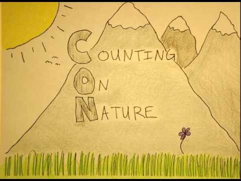 Counting On Nature #5 'three Up, three Down'