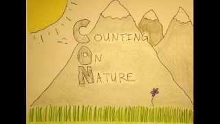 Counting On Nature #5 'three Up, three Down'
