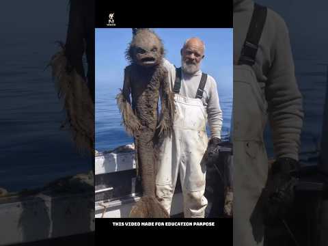 Strange Things About Animals That Will Surprise You#trending#viral#facts #shorts