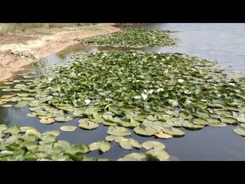 Lago Sumido - M.N. Las Médulas (León)