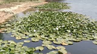 Lago Sumido - M.N. Las Médulas (León)