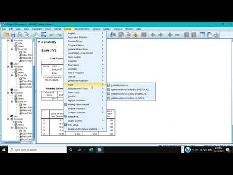 SPSS tutorial 3: How to do Reliability Analysis