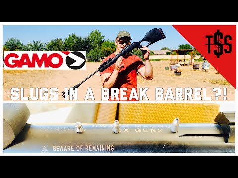 GAMO Swarm Magnum Gen 2 .177 Caliber: Do Slugs Work In Break Barrel Airguns? Iron Sight Testing!