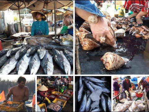 Một lần đến với chợ cá Lagi Bình Thuận, TẬN THẤY cá to, hải sản tươi ngon