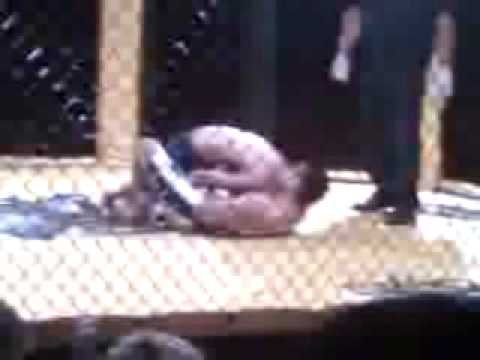 Matt and Kyle's Fights