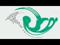 Acer Logo Center Effects