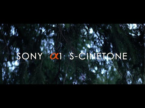 S-Cinetone Footages with the SONY A1 | Anamorphic SIRUI 50mm F1.8 Lens