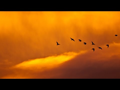 O Caminho do Meio no I Ching e Tao Te Ching